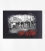 "Riots" 10 Aufkleber